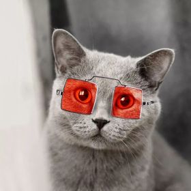 Cute Dog cat Glasses Pet Goggles Glasses Suitable For Puppy Cat Photo Props (Color: Red)