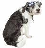 Pet Life 'Bone Cappa' Graffiti Sculptured Uv Protectant Adjustable Fashion Dog Hat Cap